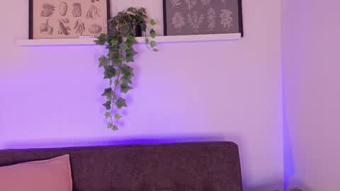  AMMY  online show from February 20, 11:56 am