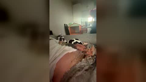 analpunisher2808 online show from March 17, 10:42 am