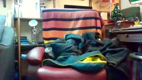 andre6045 online show from January 12, 8:05 pm