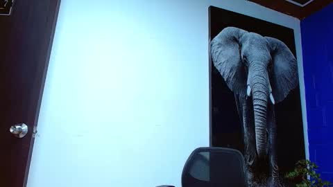 Snapshot of andre_parker chatting on January 23, 2:33 am Andre Parker online show from January 23, 2:33 am