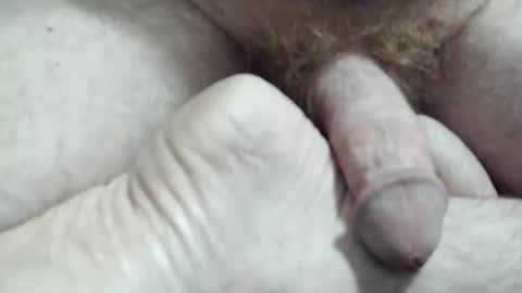 Andy Daddy online show from November 14, 12:07 pm