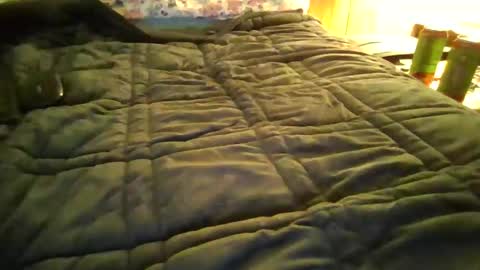 andywan94 online show from January 20, 1:42 pm