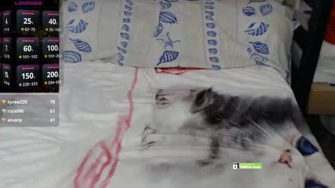 Angelina online show from October 11, 1:16 pm