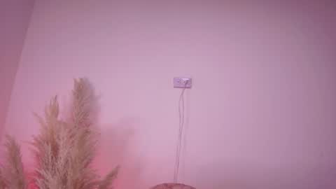 Angela Big boobs White online show from February 5, 11:02 am