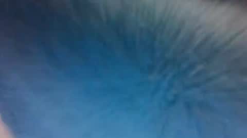 Angel online show from February 4, 9:02 am