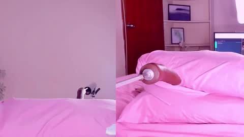 Snapshot of angeli__wu chatting on February 18, 3:21 am Angeli online show from February 18, 3:21 am