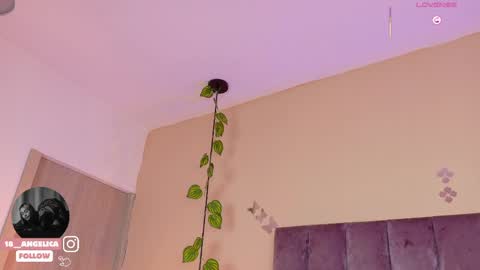 angelicaa_garcia online show from May 24, 11:50 am
