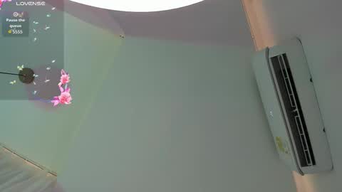 Angel Rosario online show from October 31, 7:47 pm