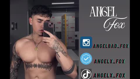 Snapshot of angelx_fox chatting on September 10, 12:17 pm Angel Fox online show from September 10, 12:17 pm