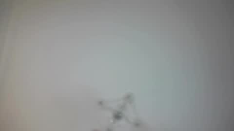 Snapshot of angry_tomato_ chatting on February 19, 3:16 pm Lera My next stream on November 30 online show from February 19, 3:16 pm