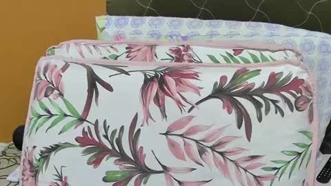 aninha003 online show from December 2, 3:19 am