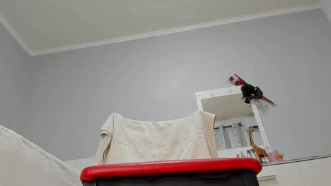 Snapshot of anisialuna_ chatting on February 26, 10:05 am Luna online show from February 26, 10:05 am