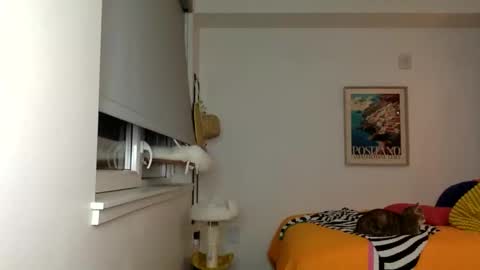 Ani Summers online show from November 8, 5:43 am