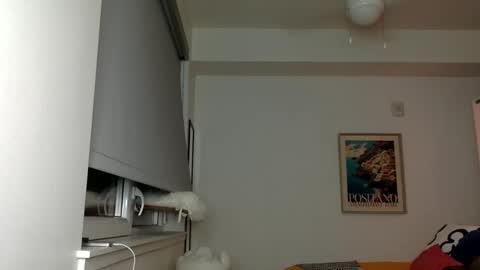 Ani Summers online show from November 12, 4:15 am