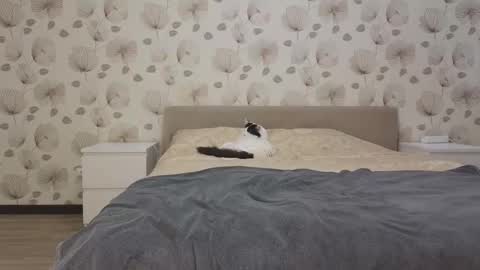 annabel_themoon online show from October 13, 5:09 am