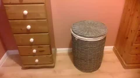 annecharlie online show from November 5, 8:16 am