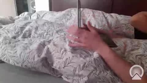 REAL FEEL 2024 online show from March 11, 5:46 am