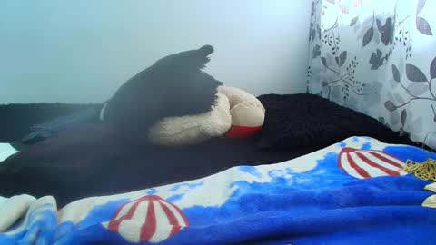 ANTONELLA WILLIAM  INDEPENDIENTE online show from February 5, 5:09 pm