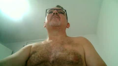 furry bear online show from September 11, 10:33 pm