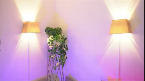 insta appolo master online show from February 27, 5:11 am