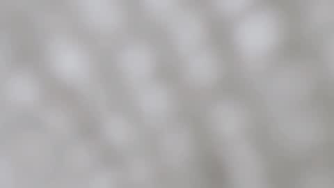 April online show from December 11, 11:54 pm