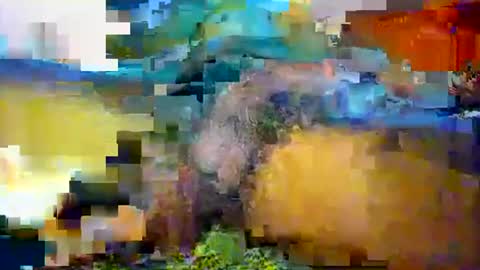 arabian_sex online show from April 5, 12:51 am