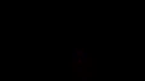 Little man  online show from September 28, 8:01 am