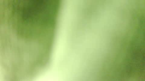 Snapshot of armin_red1 chatting on December 2, 3:08 am armin_red1 online show from December 2, 3:08 am