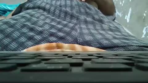 art_max99xxx online show from January 11, 11:13 pm