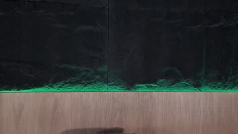artemisablake online show from February 4, 12:19 am