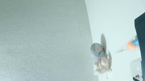 ashleey_palmer online show from March 1, 10:52 am
