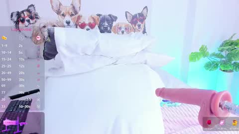 Ashley online show from January 8, 2:34 pm