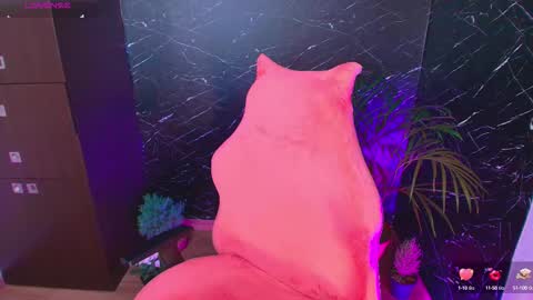 Ashleyy18   online show from September 22, 9:46 am