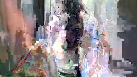 ELLE dont forget to follow and thumbs up online show from December 8, 12:24 am