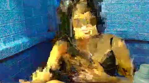 asian_decy online show from March 4, 11:07 am