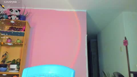 Ana online show from January 16, 12:41 am