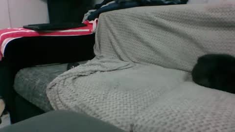 MARCO online show from February 4, 8:24 pm