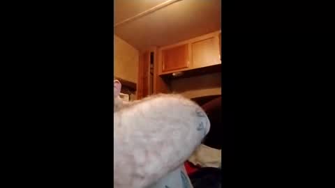 asspet4u online show from March 22, 12:20 pm