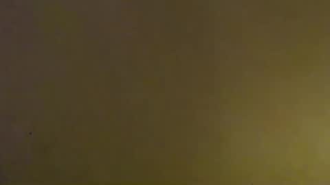 B  Baby online show from November 21, 5:38 am