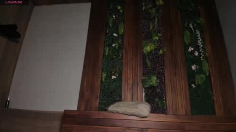 Austin  online show from March 8, 3:27 pm