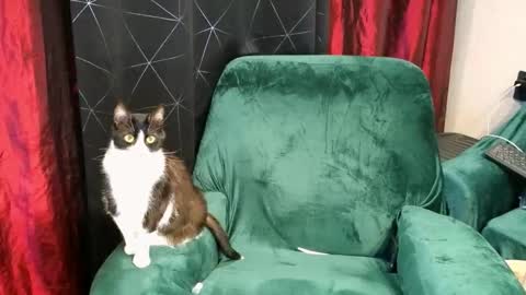 Dominatrix Queen online show from January 13, 8:38 pm