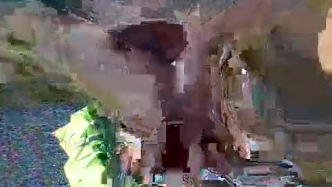 needoh online show from September 24, 6:47 pm