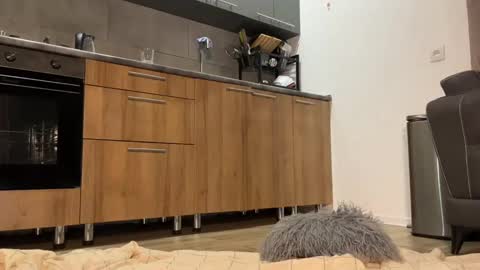 mei online show from December 16, 9:20 pm