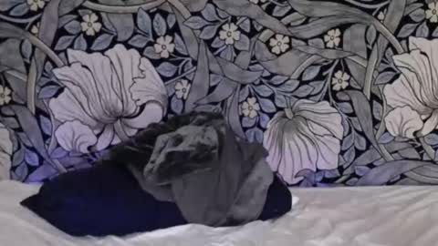 Ava online show from October 3, 3:15 am