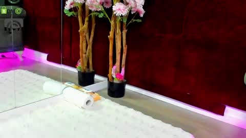 Bailey online show from March 22, 4:55 pm