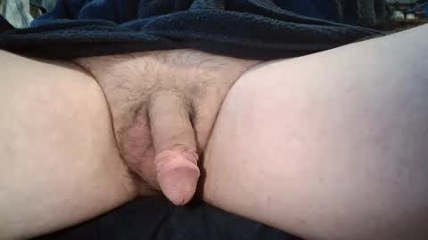 baldleggingslover online show from October 6, 7:26 am