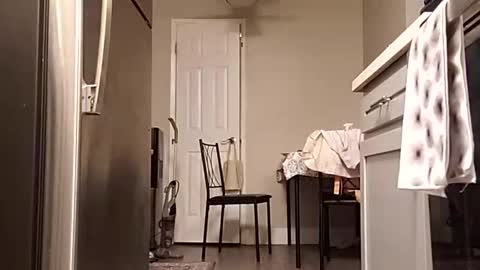 Snapshot of bambihasit chatting on October 21, 2:49 am bambihasit online show from October 21, 2:49 am