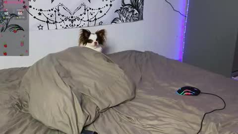 mett online show from October 19, 2:44 pm