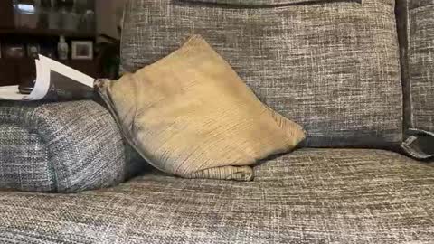 baykiwi54 online show from October 19, 7:46 am