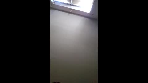 bayouguydildopitt1 online show from December 20, 8:05 pm